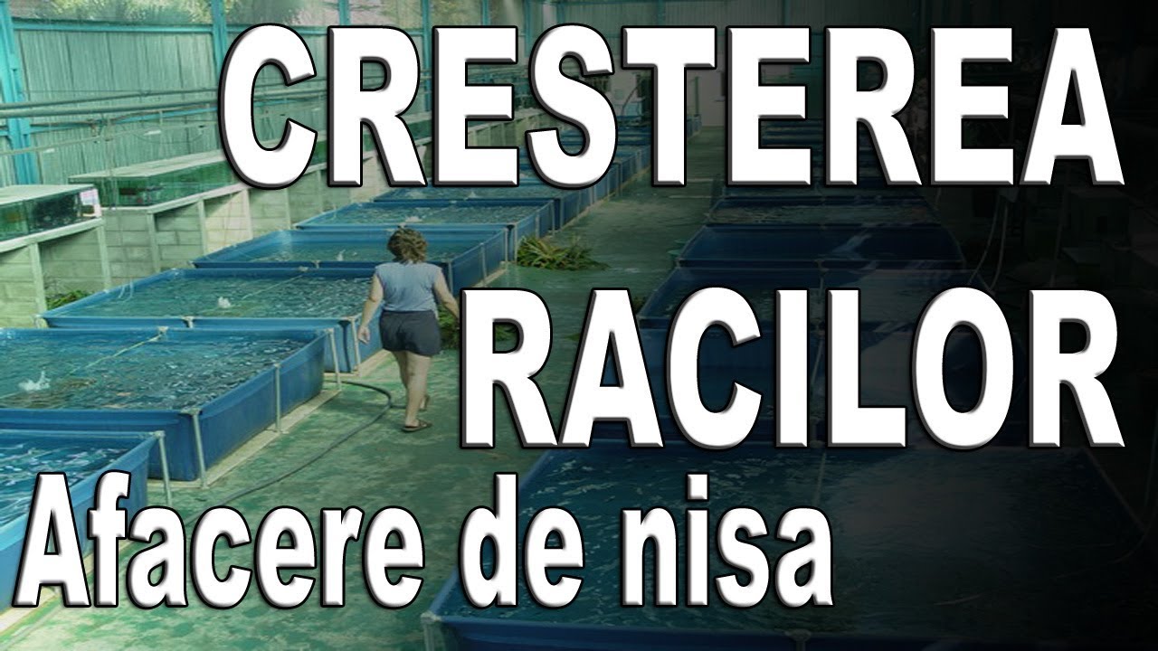 Idei de afaceri - Cresterea racilor AFACERE DE NISA | NextStep