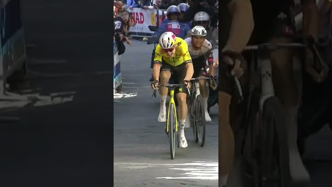 WOUT VAN AERT WINS AN EPIC IN SIENA💥 The Belgian is BACK with his 50th win and what a way to do it 😍