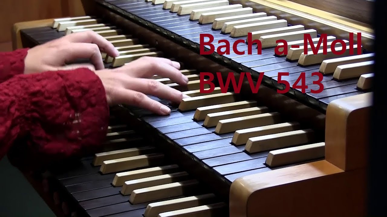 J.S. Bach BWV 543 Praeludium und Fuge a-Moll, Beckerath Orgel St. Johannis Kirche Würzburg #bach