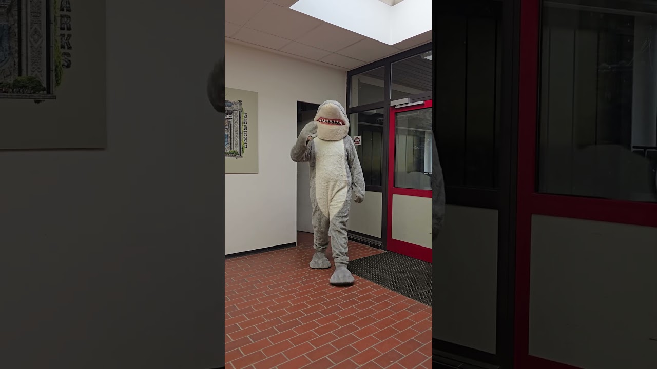 Sharks Maskottchen - auf gehts - Basketball Hittfeld #maskottchen #player #spielfeld