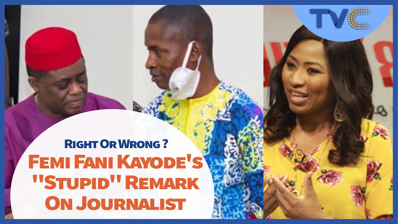 Femi Fani Kayode's 