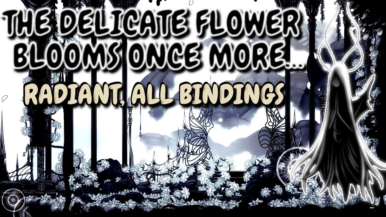Mystic Ze'mer, RADIANT, ALL BINDINGS - Hollow Knight: Pale Court