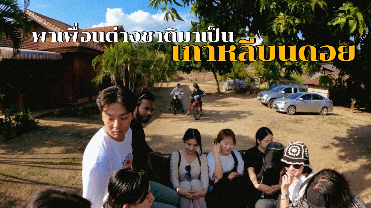 พาเกาหลี 16 ชีวิตไปขึ้นดอยบ้านเกิด!! นี่แหละความสนุกของเด็กปาย
