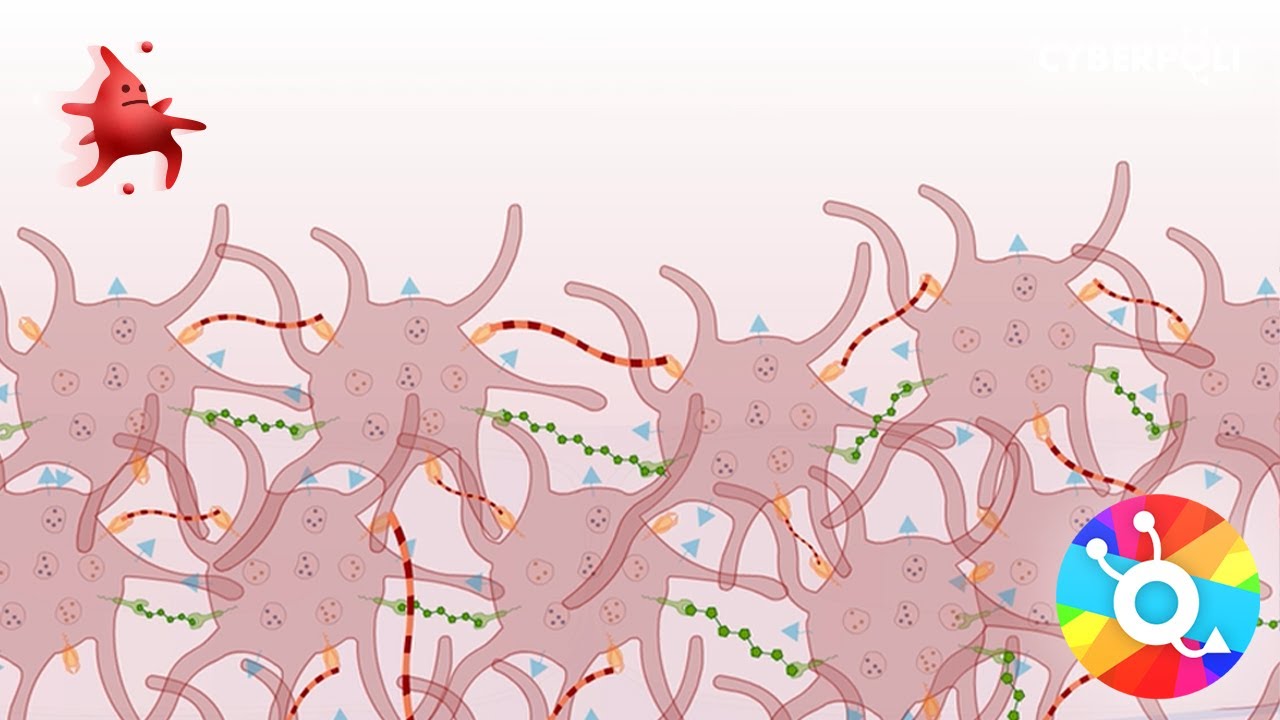 Trombocytopathie