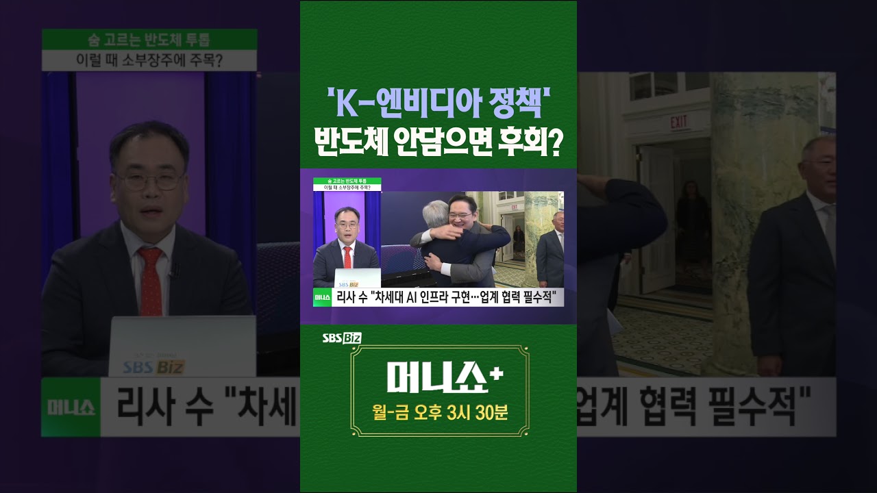 [머플] 'K-엔비디아 정책' 반도체 안담으면 후회? #최성환 #Shorts