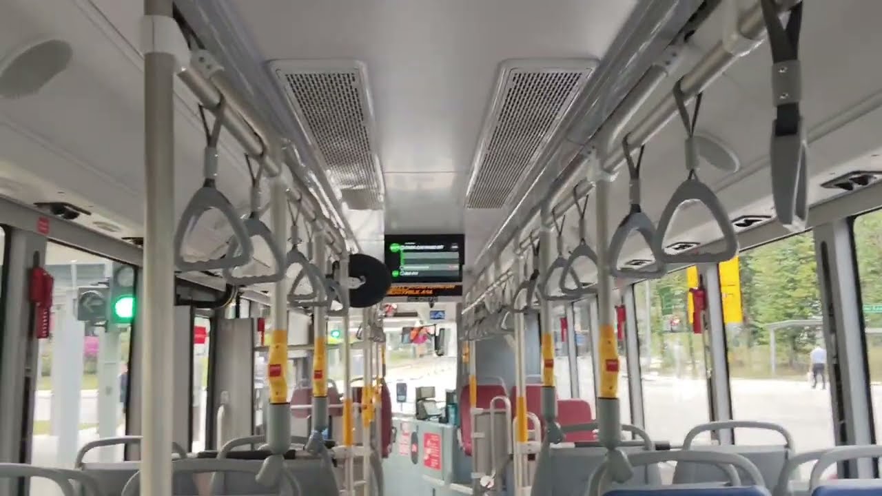 [BYD Ride On Bus 307T] [Empty Bus Interior From 3:14] SMRT BRAND NEW BYD BC12A04 On 307T [SG3297D]