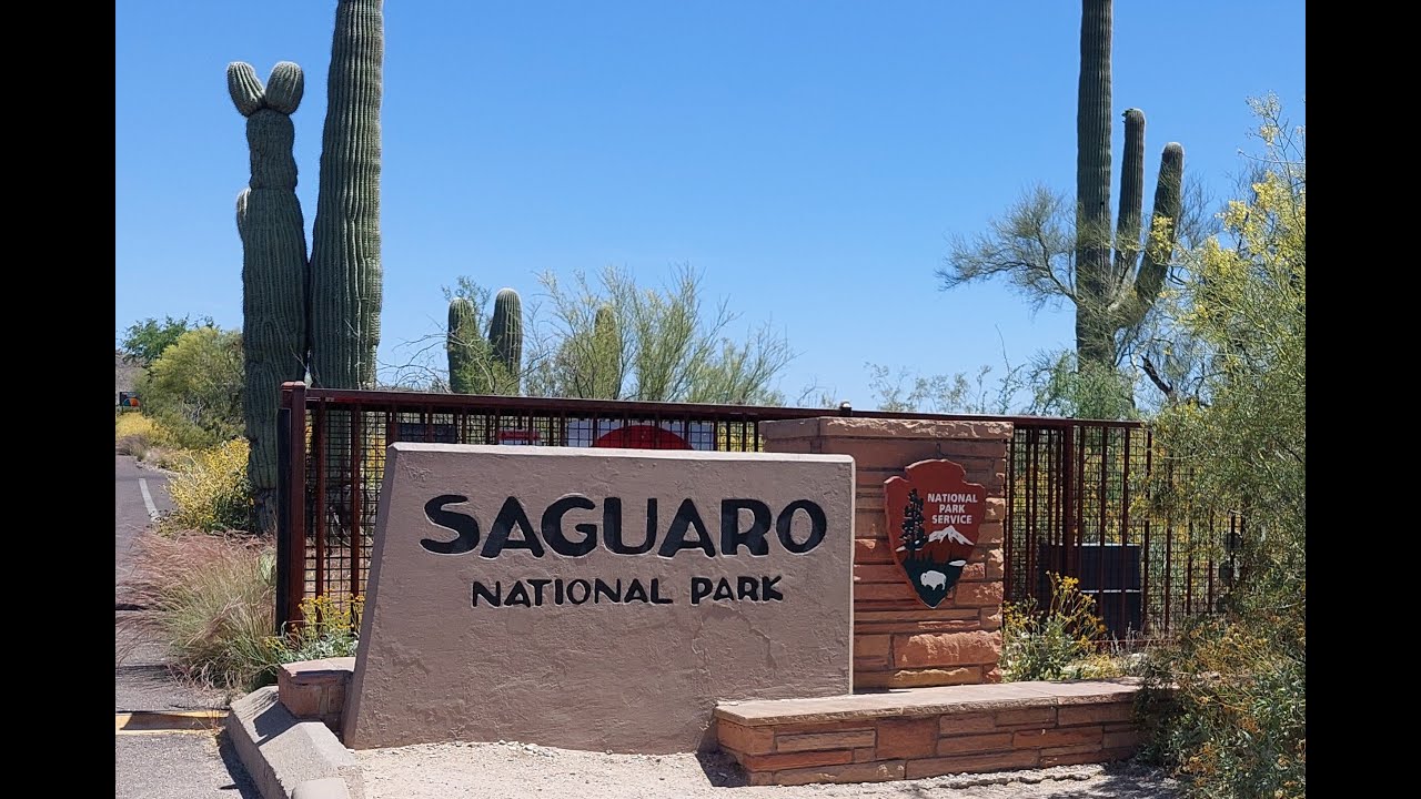 Saguaro National Park East