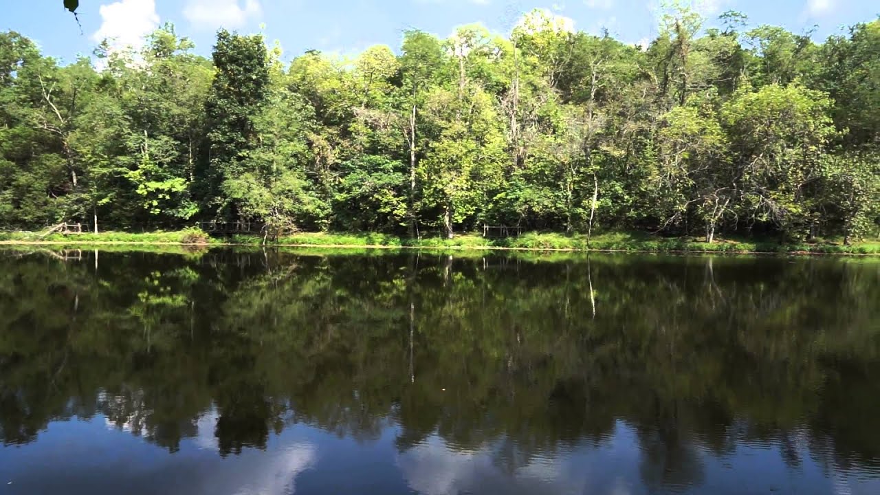 Wesley Woods Camp Revisited