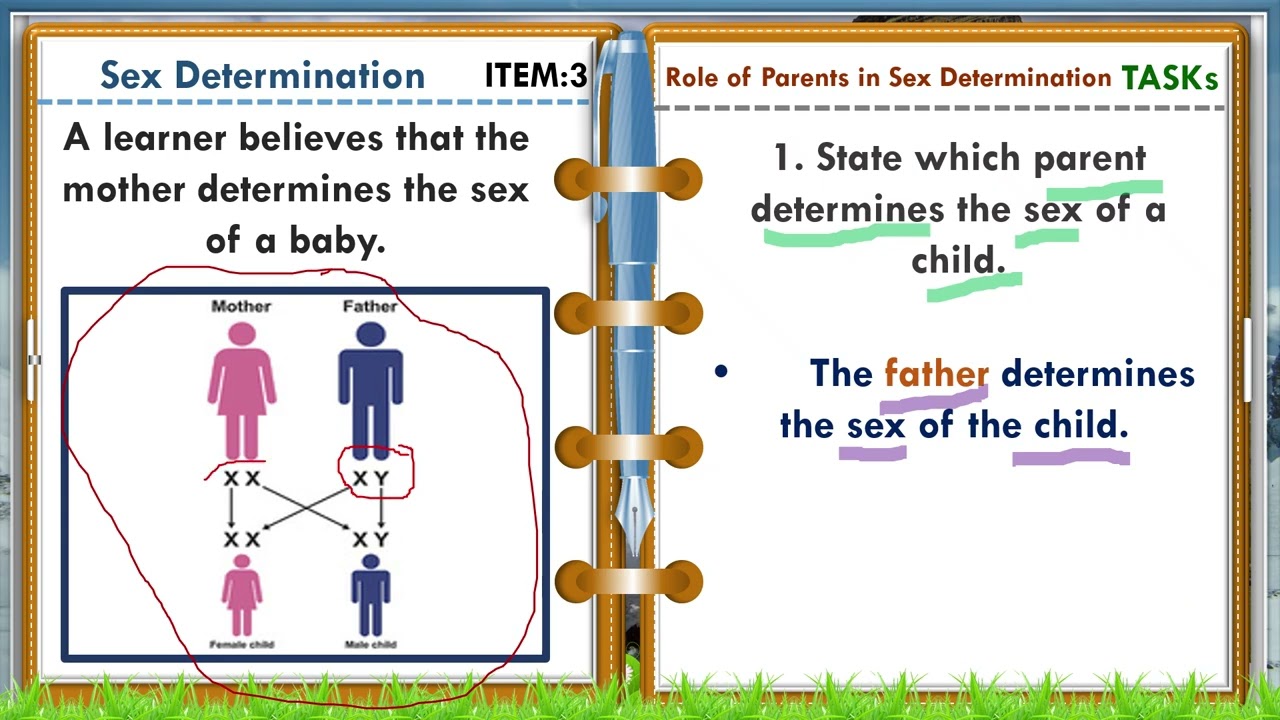 Inheritance-5-Sex Determination