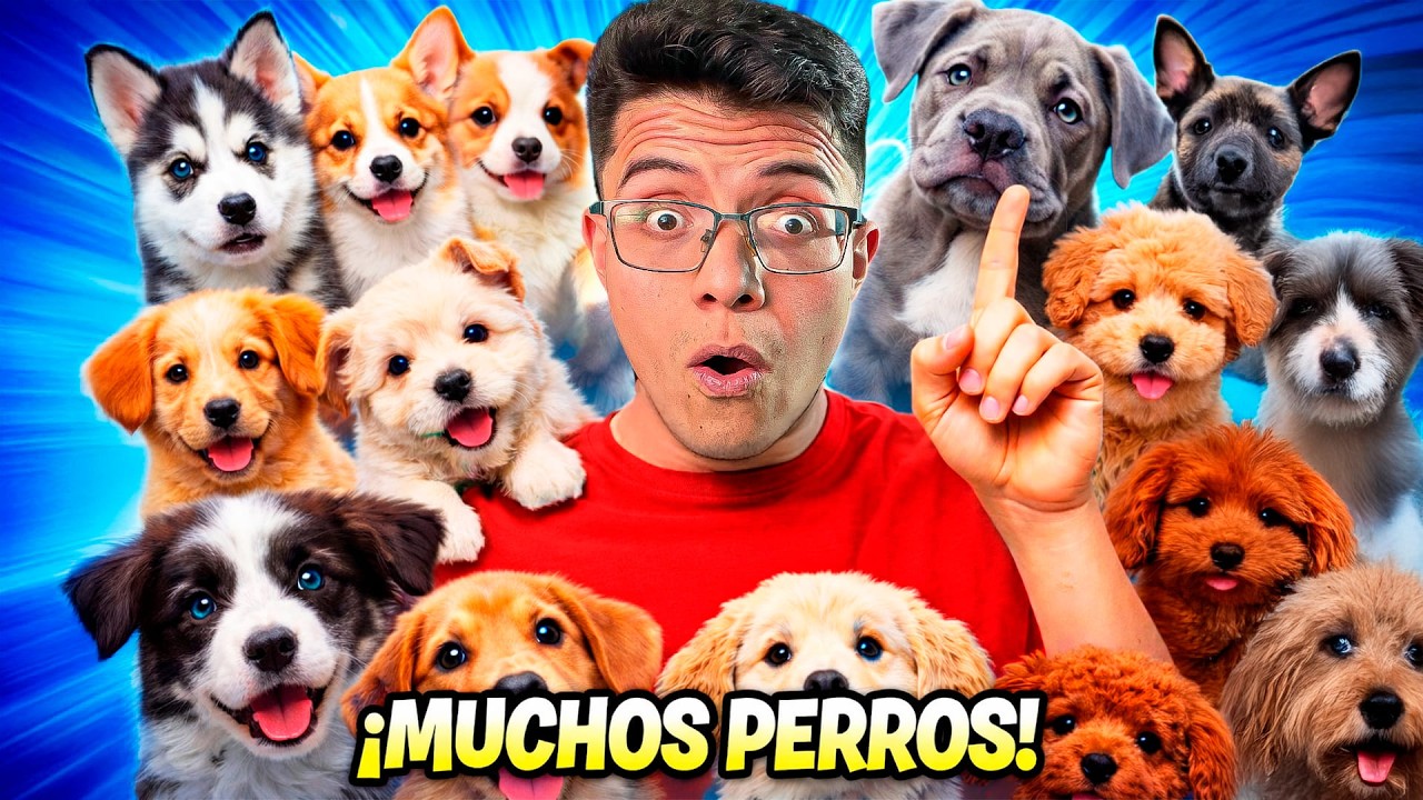 Me Infiltré en una Expo SECRETA de Perros Exóticos