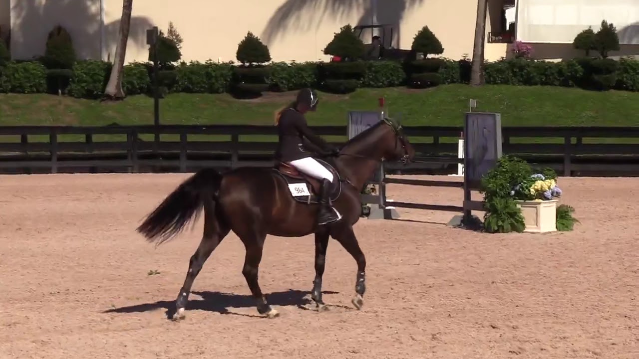 Skydan Alina. Venus конкур