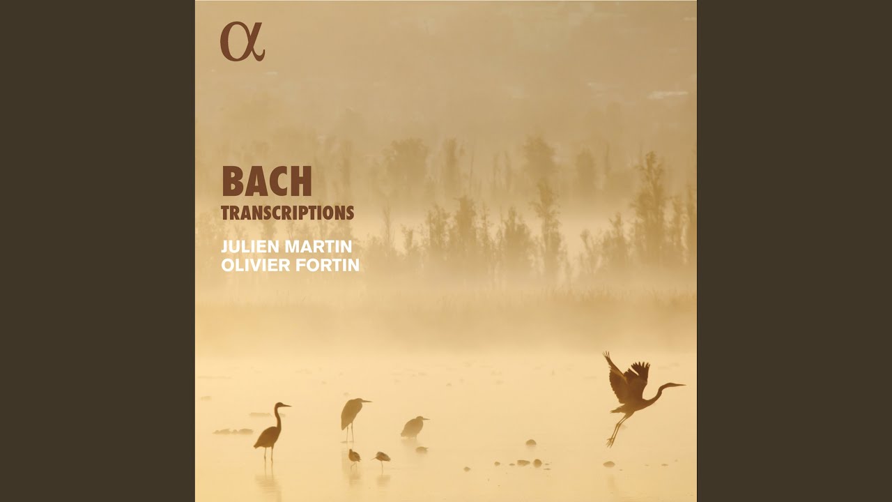 Organ Sonata No. 3 in D Minor, BWV 527: II. Adagio e dolce (Transcr. for Recorder and...