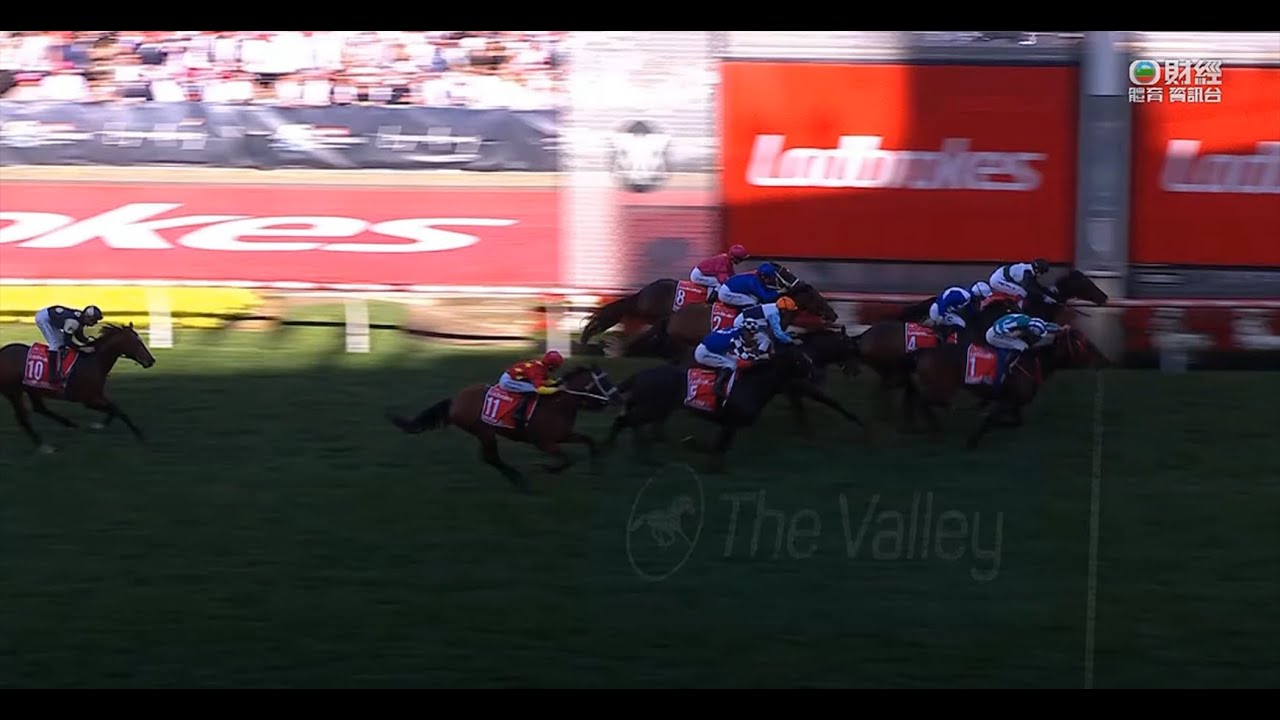 澳洲覺士盾 Australia Cox Plate 一級賽 G1 2023-10-28 2040m 浪漫勇士 Romantic Warrior 滿利谷馬場 Moonee Valley Racecour