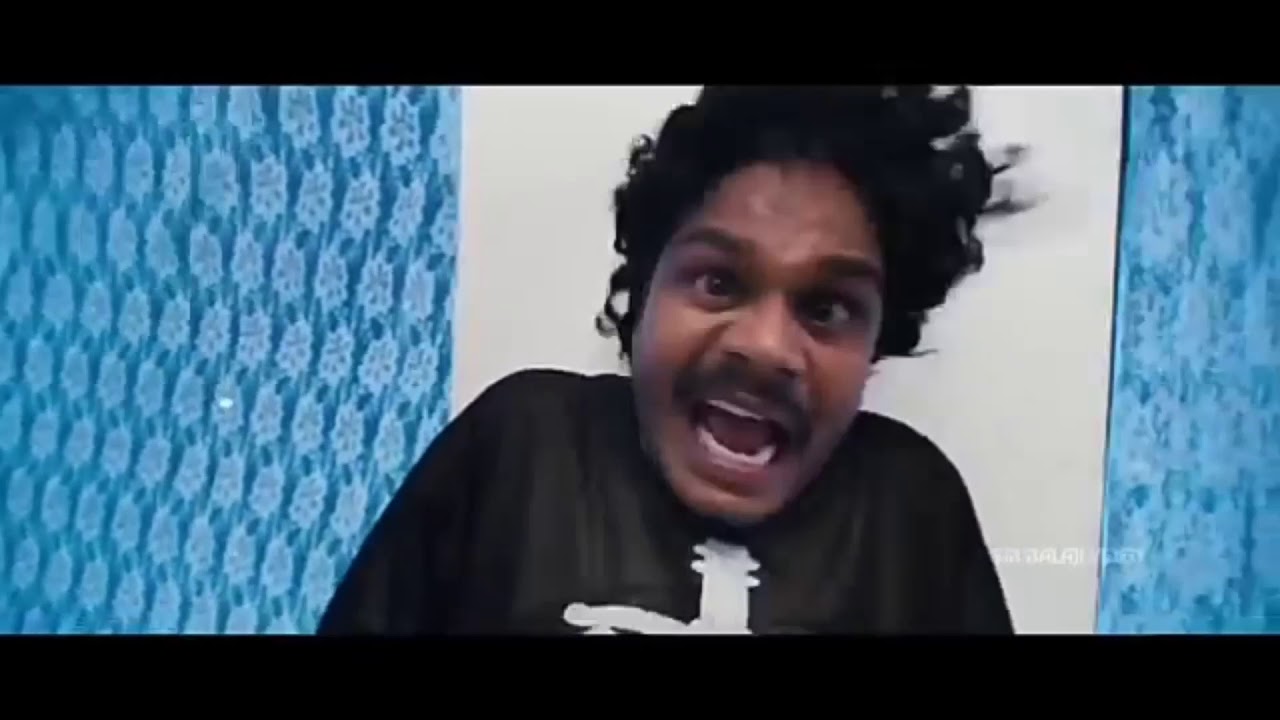 Tammangula kuvi funny video