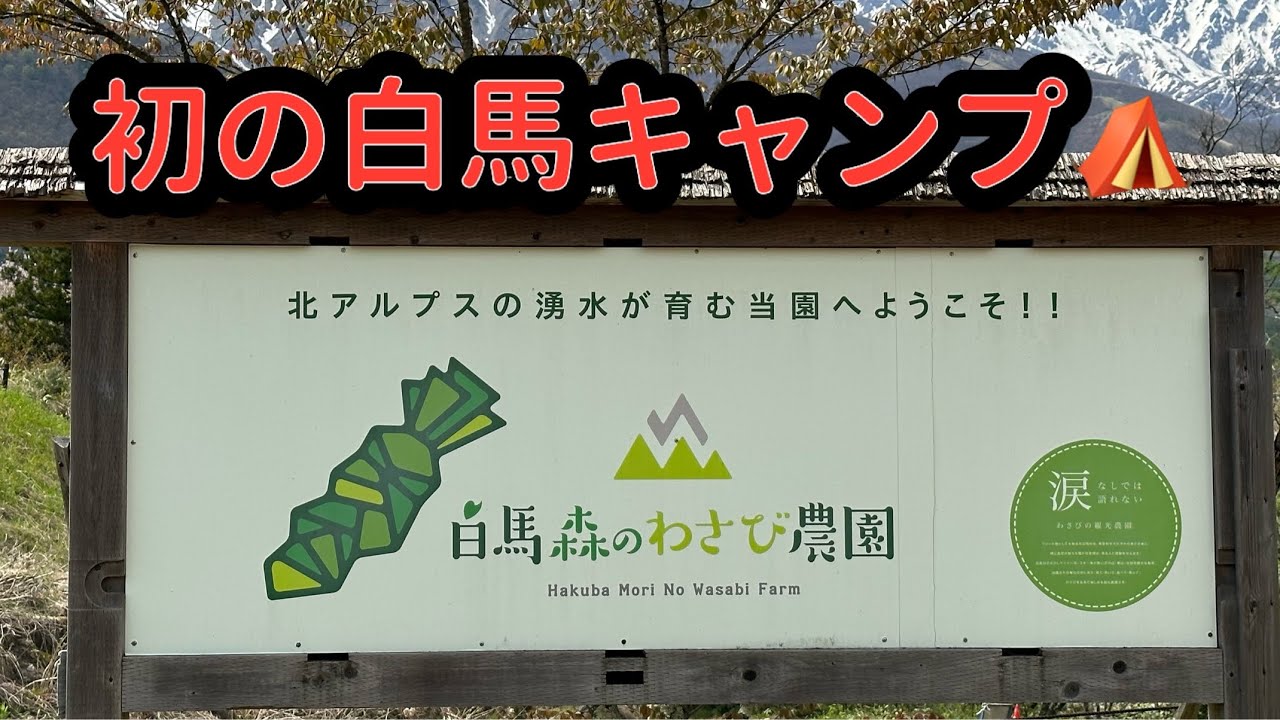 【白馬森のわさび農園キャンプ場】愛犬と夫婦キャンプ⛺️