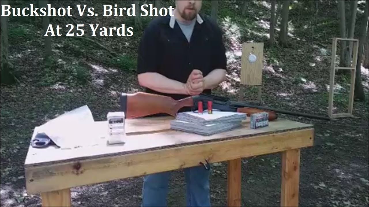 Buckshot Vs. Bird Shot At 25 Yards