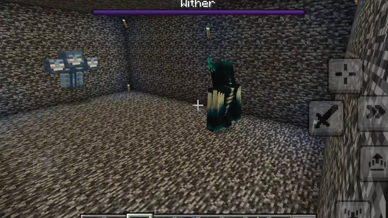 Warden vs Wither! who wins?! | Minecraft 