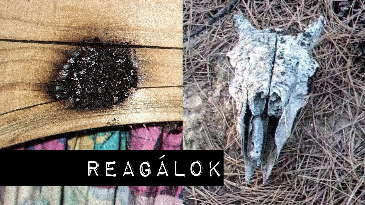 Reag&aacute;lok a n&eacute;zőim PARA vide&oacute;ira/k&eacute;peire #8