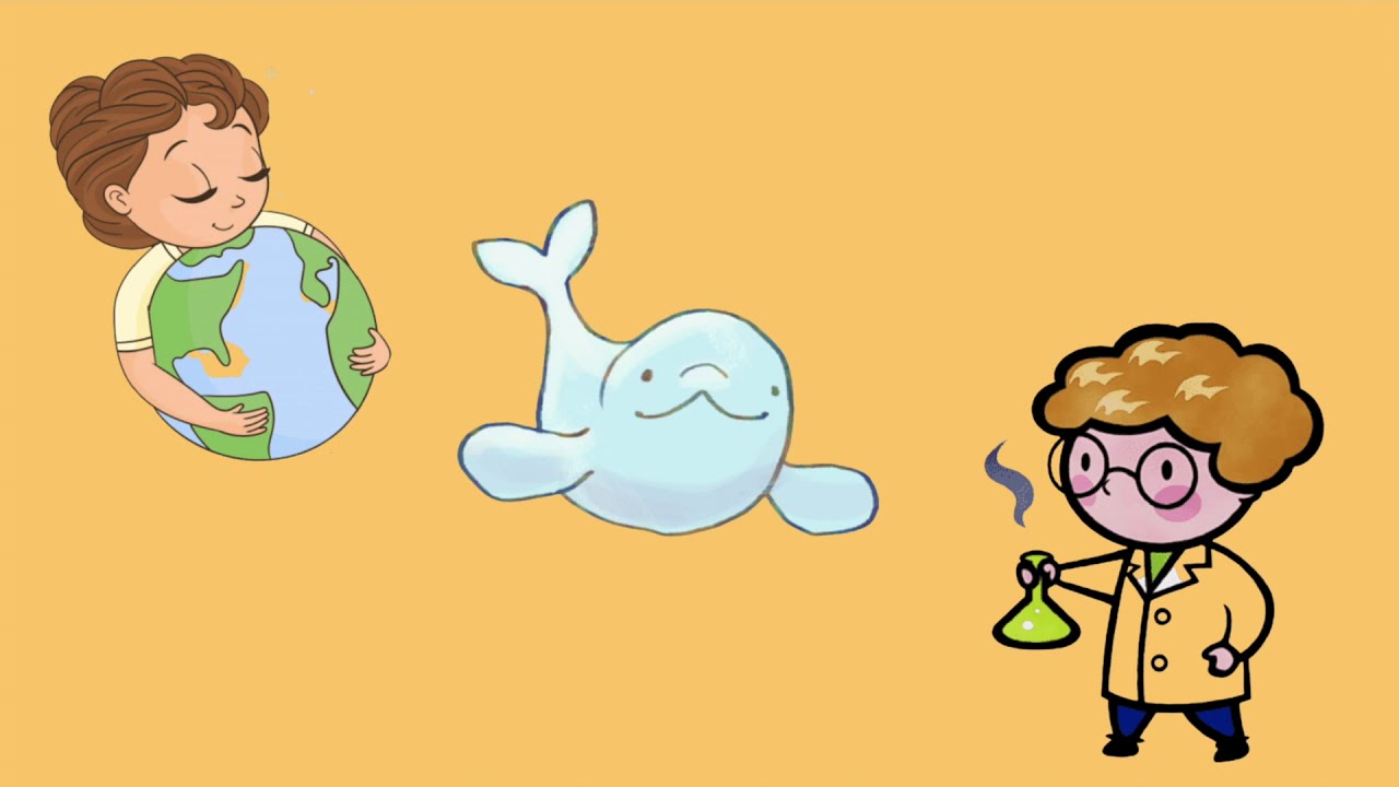 ¿Qué es la Biología Marina?  - Splash Organization