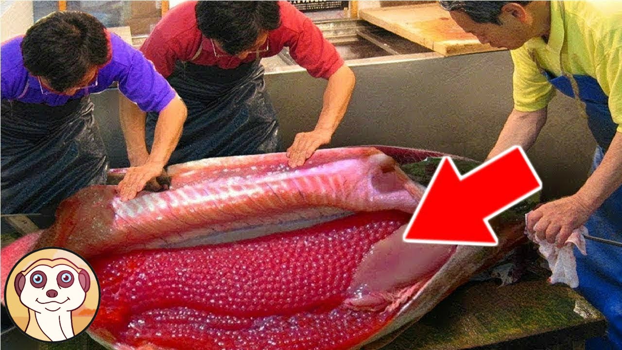ECCO COM'È FATTO IL CAVIALE