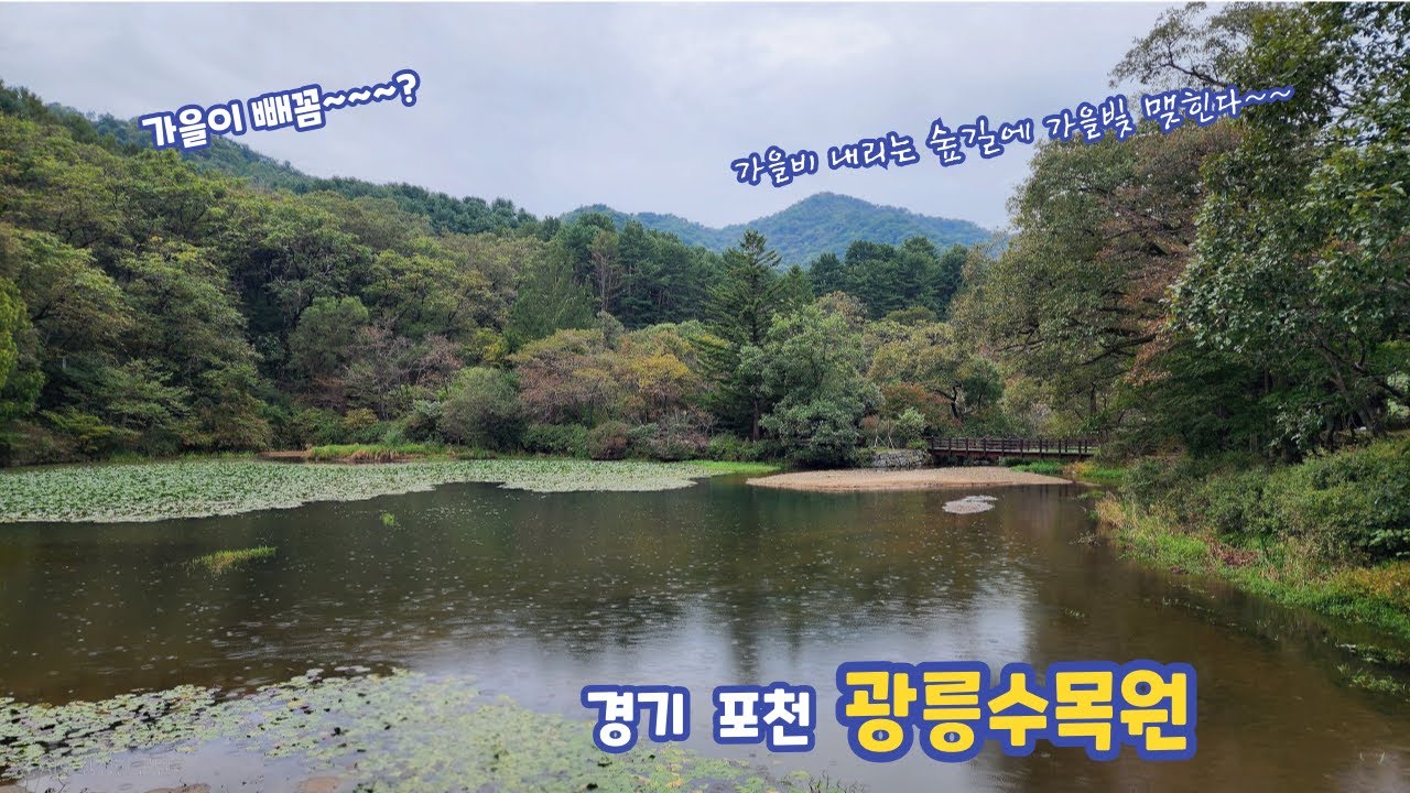 걷는 모든 순간이 힐링~   포천 광릉수목원
