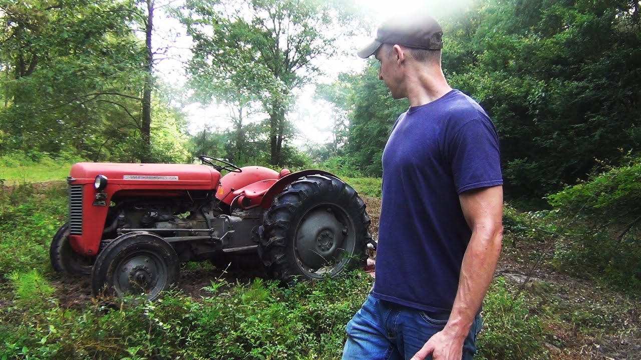 Brush Hogging New Food Plot Location With Massey Ferguson 35