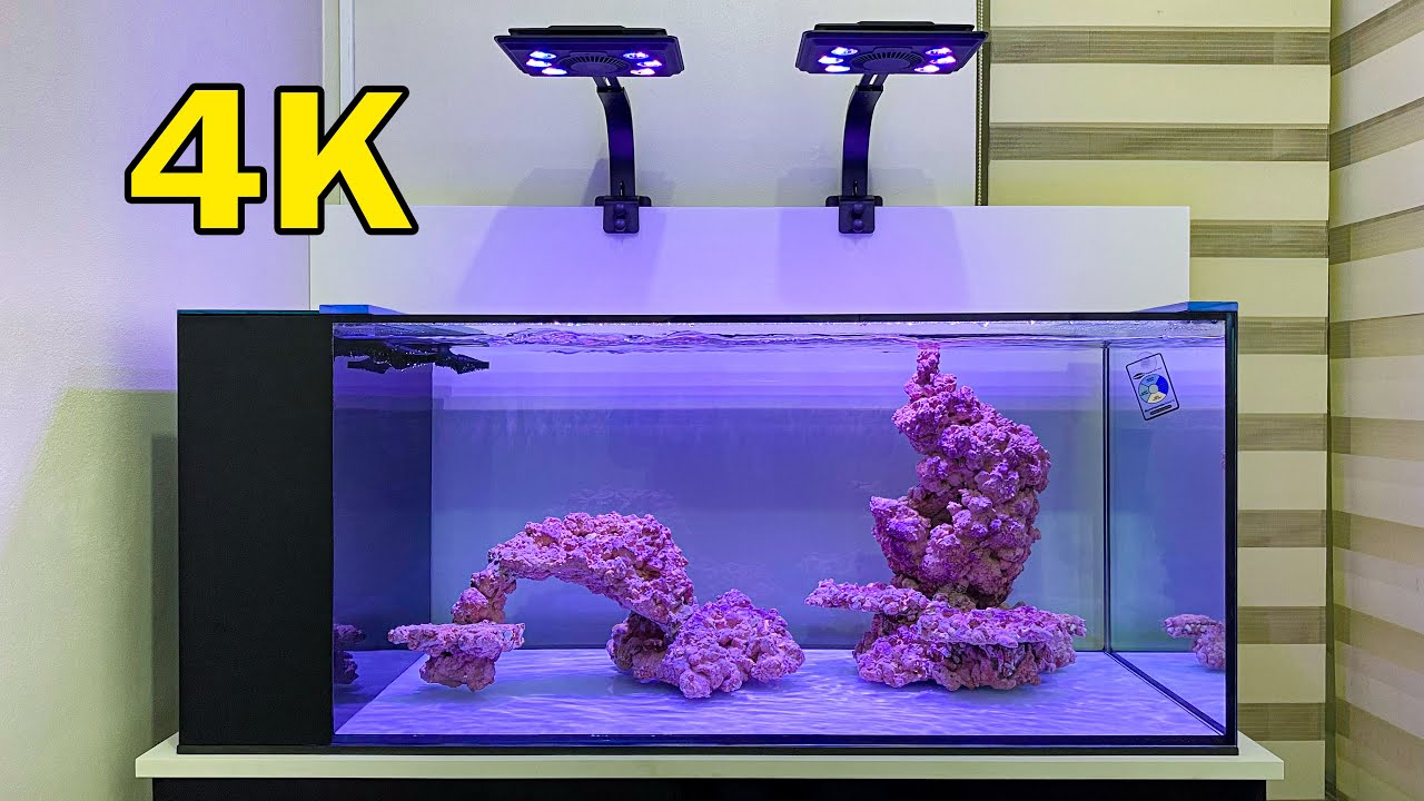 Reef Becker - Apresentação Aquário Marinho