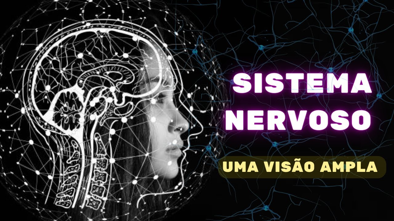 Sistema Nervoso (uma visão ampla) - Fisiologia Humana