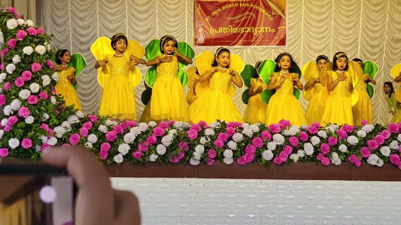 Kannadi chirakulla kattu thumbi.. Song dance.