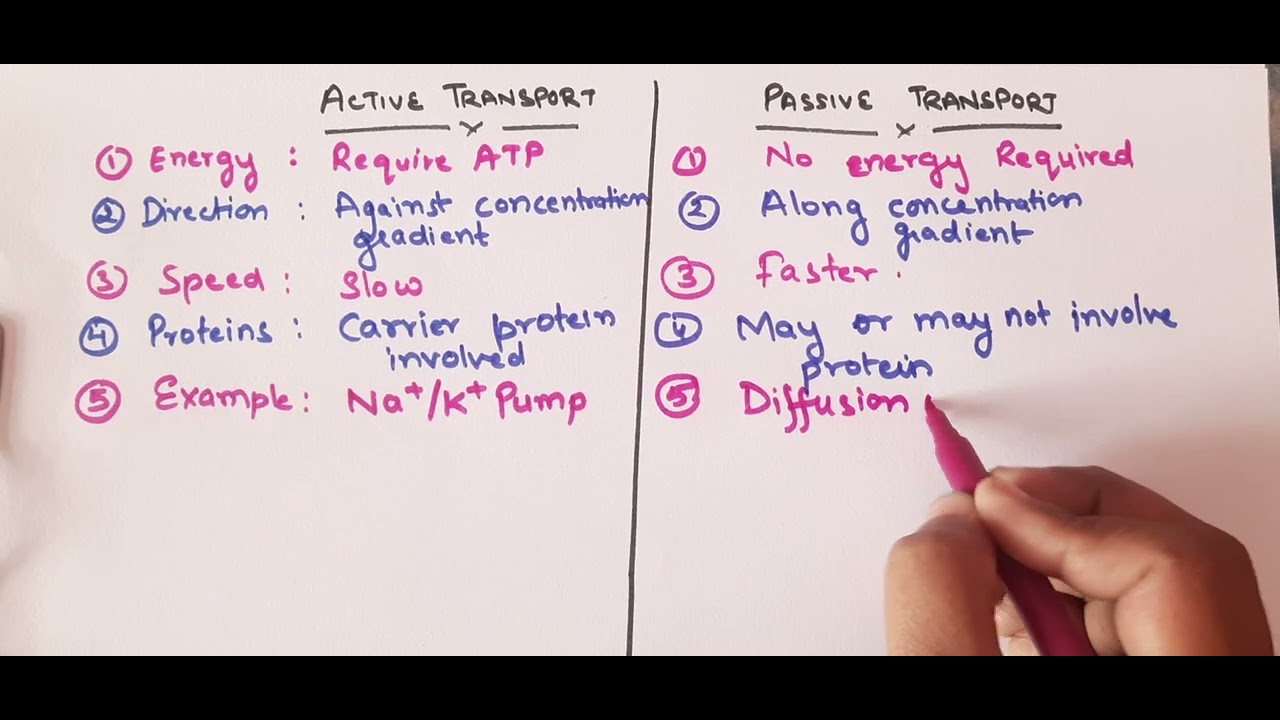 Pointwise differences between Active vs Passive Transport 