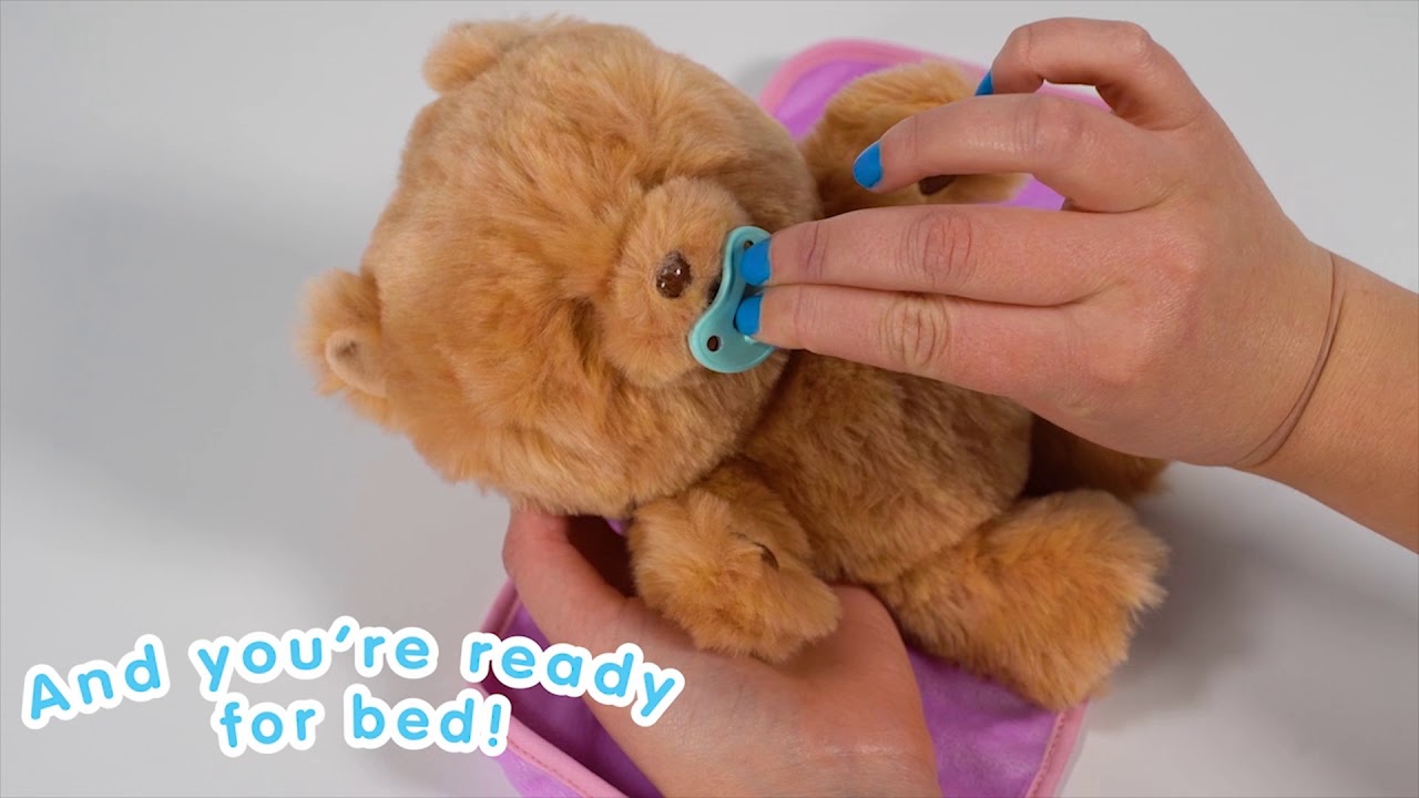Little Live Pets Super Soft and Interactive Cuddly Teddy Bear for Bedtime!