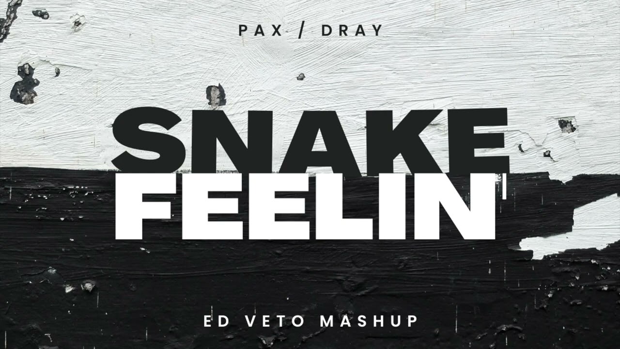 Dray, PAX - Snake Feelin (Ed Veto Mashup)