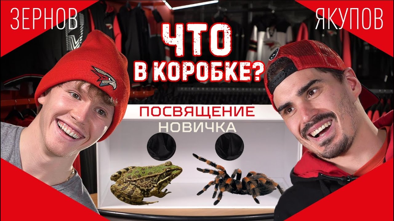 «ТОЛЬКО НЕ ЗМЕЯ» | Денис Зернов VS Наиль Якупов | ЧТО В КОРОБКЕ? #2