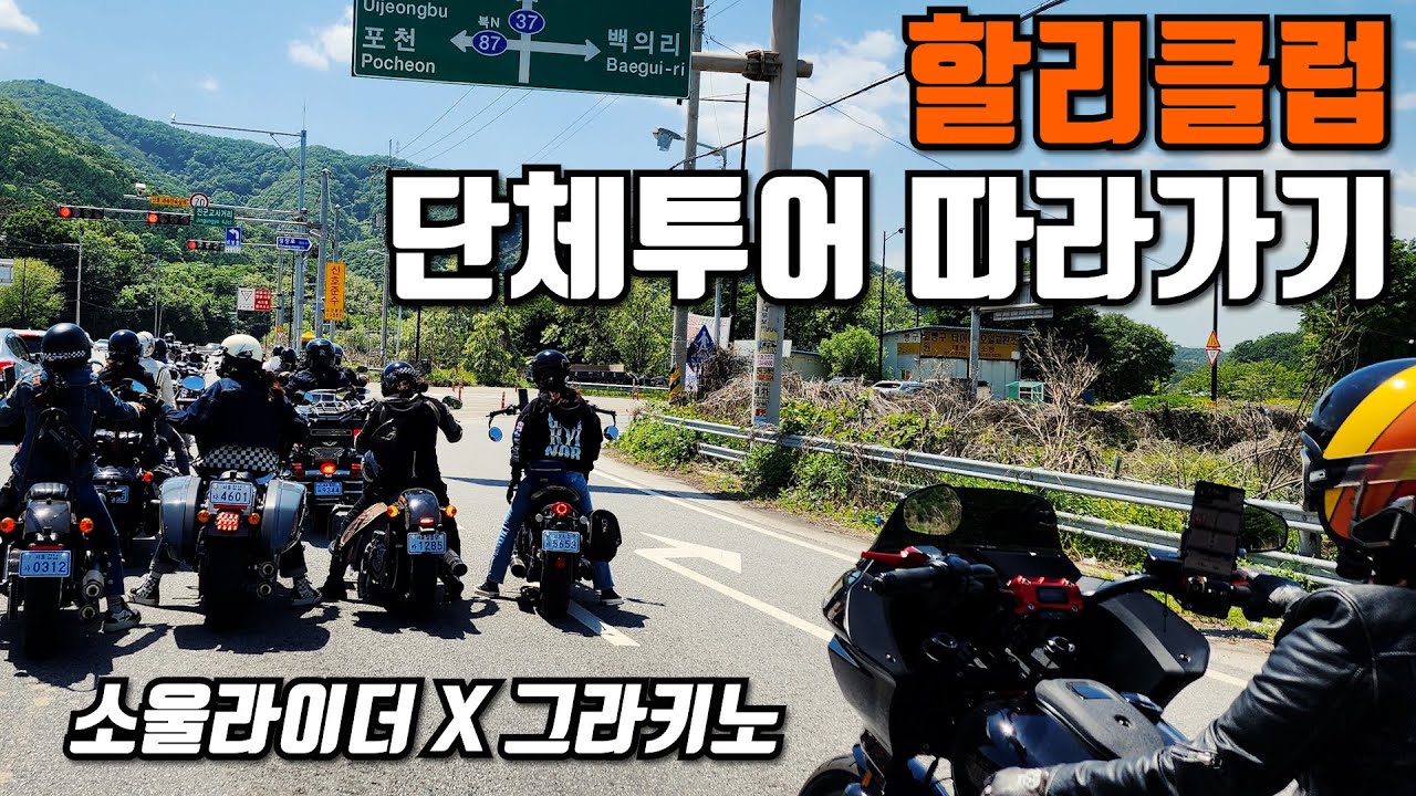 할리 동호회 연합 정모에 따라간 토끼파들