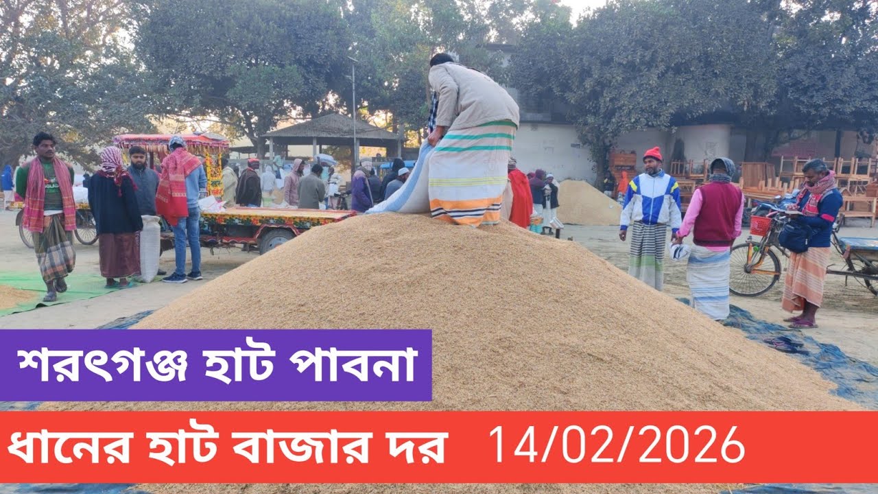 14 February 2026 আজকের ধানের বাজার দর। Paddy rice market price rate today 