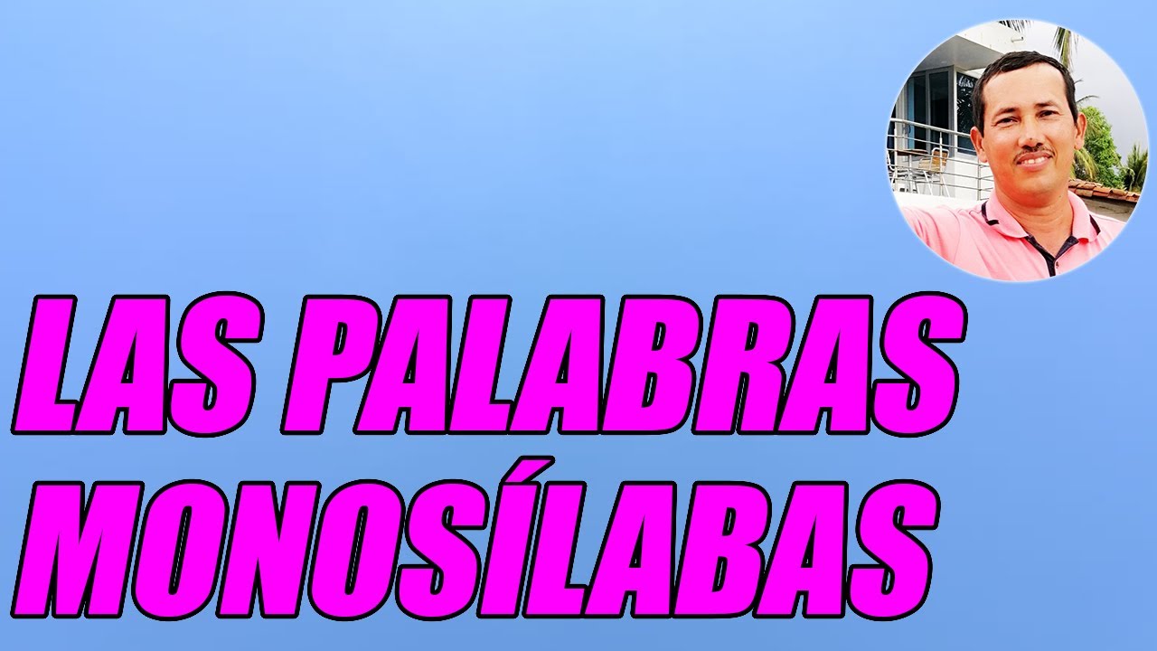 LAS PALABRAS MONOSÍLABAS (BIEN EXPLICADAS CON EJEMPLOS) ¡DESCÚBRELAS! - WILSON TE EDUCA 2