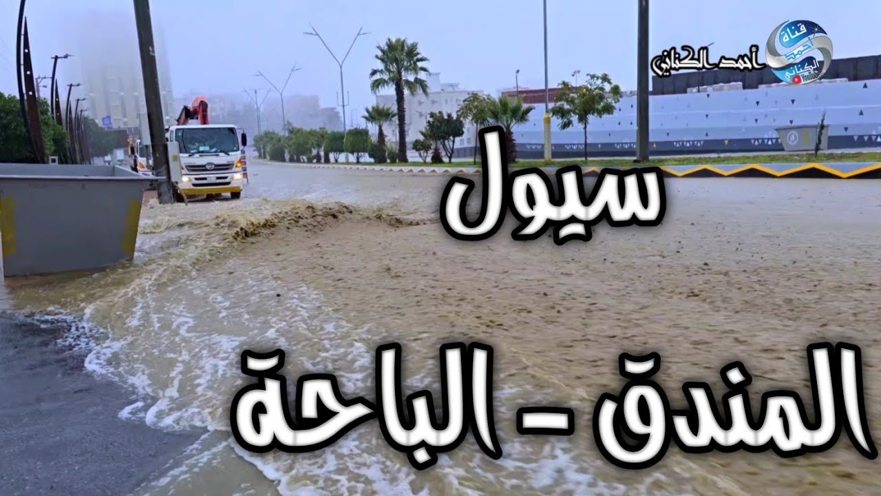سيول المندق - محافظة المندق بمنطقة الباحة - عصر اليوم الأحد 26-7-1446#امطار #السعودية