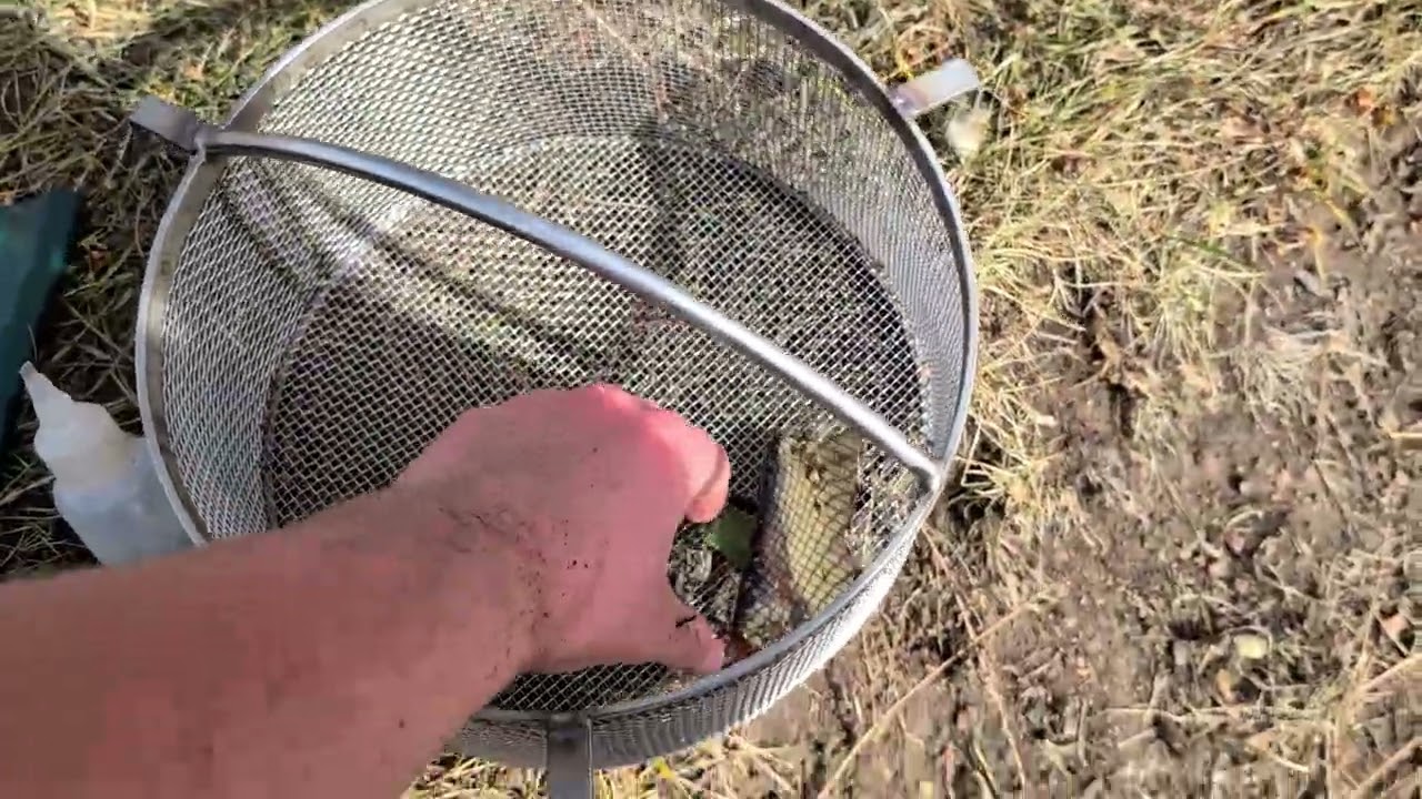 Public Land Panning   PT   3 The Best Ground Yet