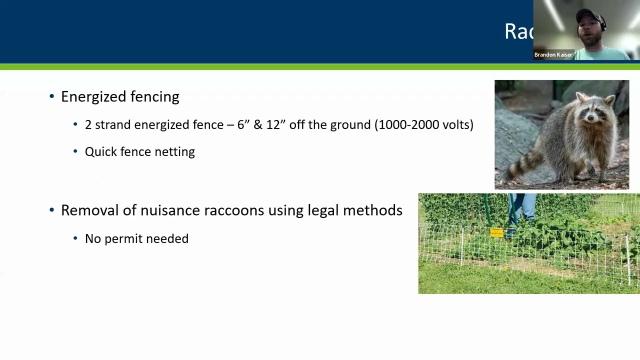 Excluding Wildlife From Produce Fields: Fencing Options to Protect Your Crops