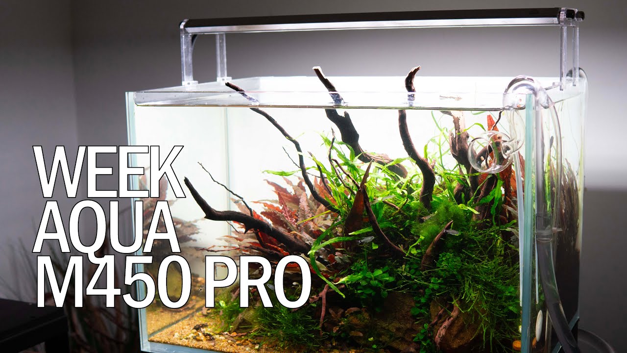 AQUÁRIO MAIS COLORIDO com essa LUMINÁRIA? - Week Aqua M450