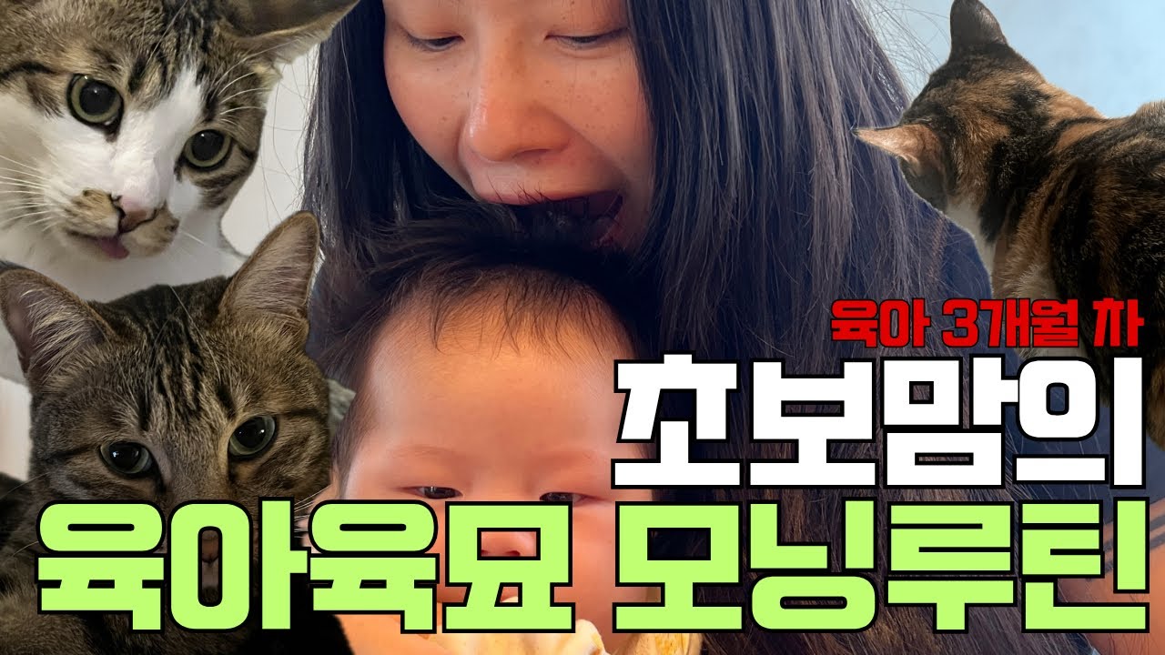 [육아vlog] 육아육묘 모닝루틴/ 초보맘 육아솔직후기 