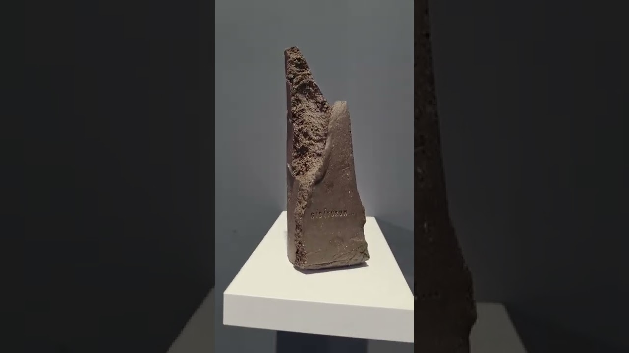 Ceren Selmanpakoğlu: 