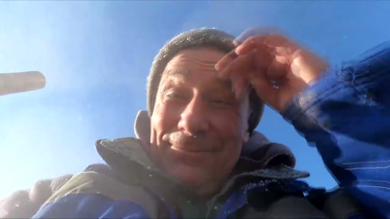 Навоз руками, сено ручками кидаю, бык просто красавец.