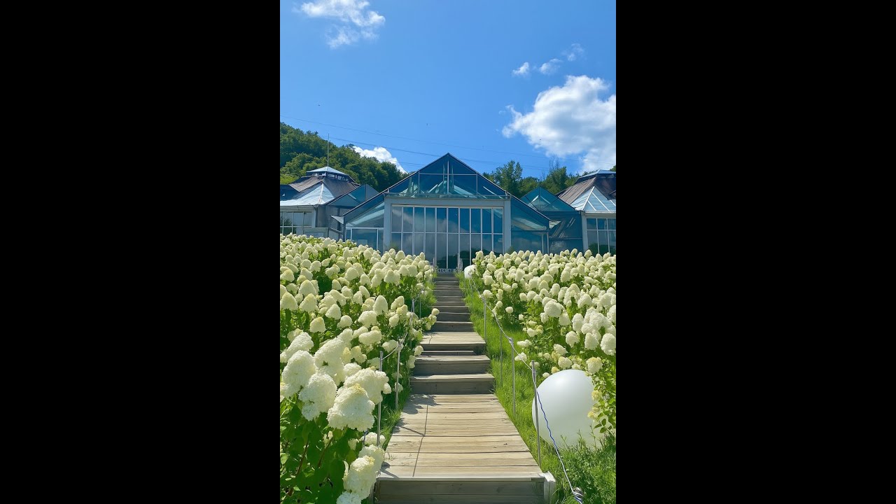 6,7월 수국이 만개할때 가보자! 남양주 식물원 카페 비루개(Birugae)