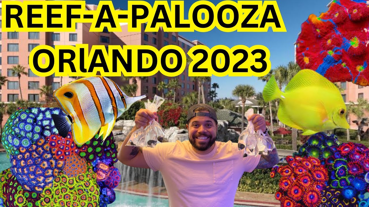 REEF-A-PALOOZA 2023- ZOAS!!!!!!!