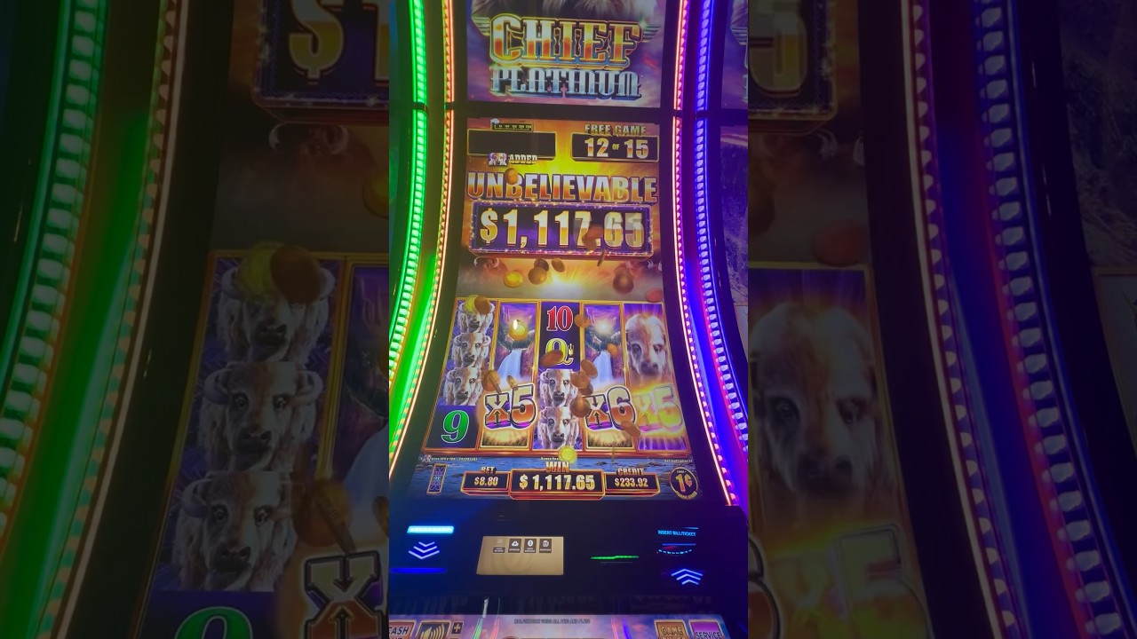 💰🦬HUGE LINE PAY ON PENNY SLOT MACHINE AT HARD ROCK TAMPA CASINO!! #jackpot #casino