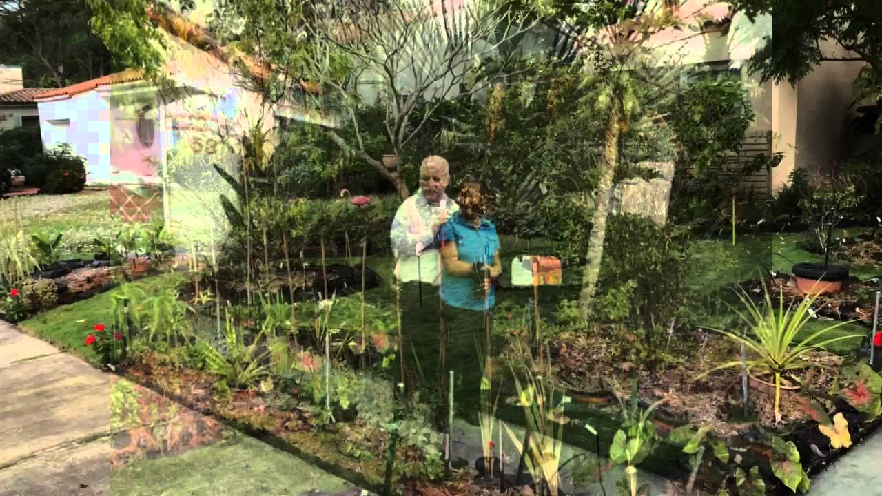 Miami Shores Residents Cited For Front Yard Vegetable Garden