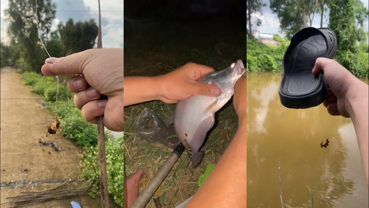 TTA | Câu Cá Dưới Cống HOÁ CHẤT khu Công Nghiệp | Câu cá bằng dép Và Chai Nước - Tổng hợp Săn bắt p1
