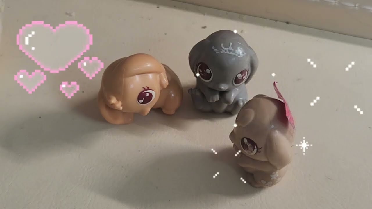 뽀니핑 첫 등장!!!(근데 토순이의 반응이..?)