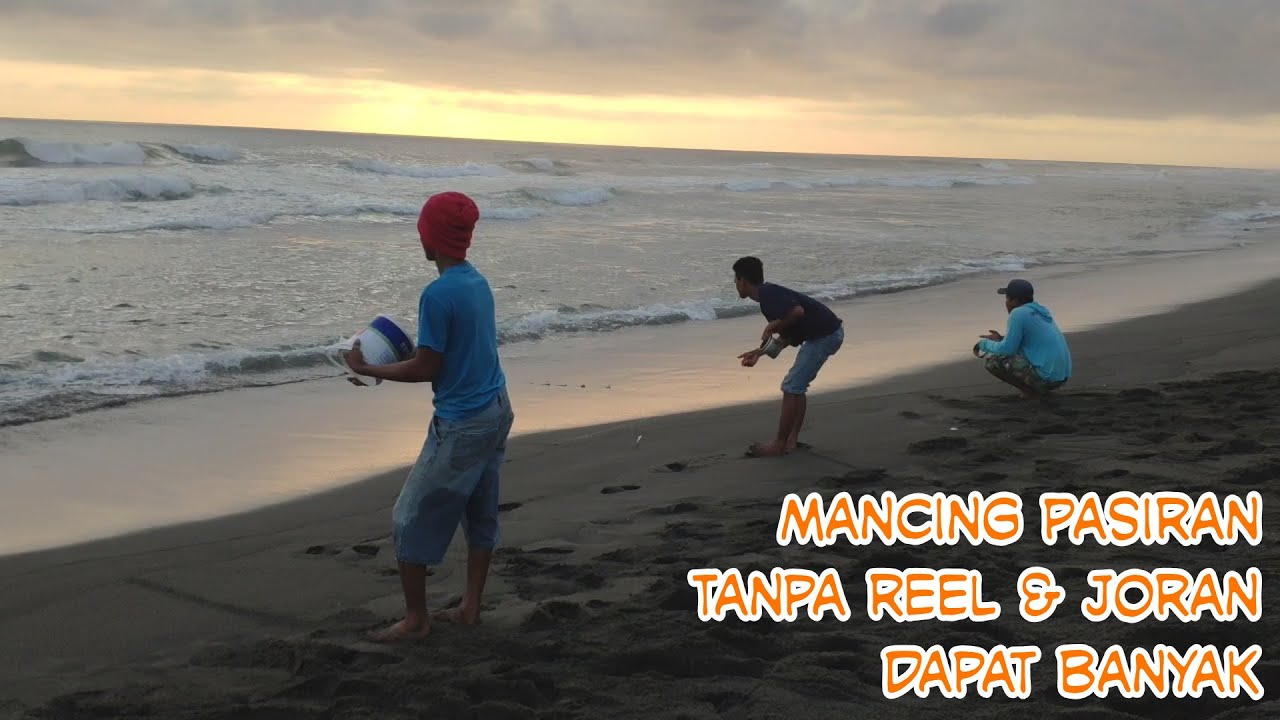 Cara Mencari Undur-undur Umpan T.O.P Untuk Mancing Pasiran (Surf Fishing)